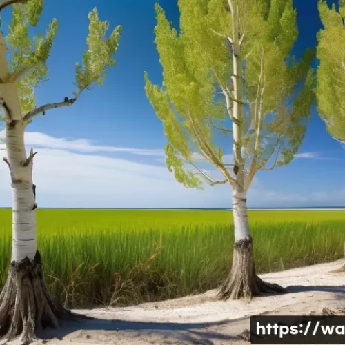 Home 31 탄소 격리 식재를 위한 기후 적응 전략 - A coastal landscape showing salt-tolerant poplar trees thriving on saline reclaimed land, with visib...