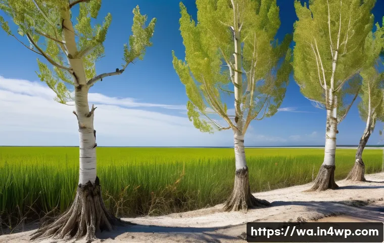 탄소 격리 식재를 위한 기후 적응 전략 - A coastal landscape showing salt-tolerant poplar trees thriving on saline reclaimed land, with visib...