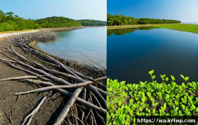 Home 17 탄소 격리 식재 프로젝트의 국제적 사례 비교 - Photorealistic wide-angle comparison scene of two carbon sequestration planting projects side by sid...