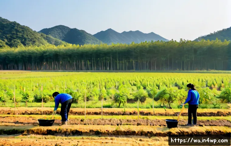 Home 17 탄소 격리 식재 프로젝트의 장기적 비전 - Photorealistic wide landscape of a long-term carbon sequestration planting project, diverse young na...